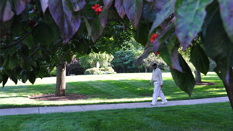 Outdoor image of a man walking on a pathway